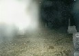 Greenwood Cemetery fog